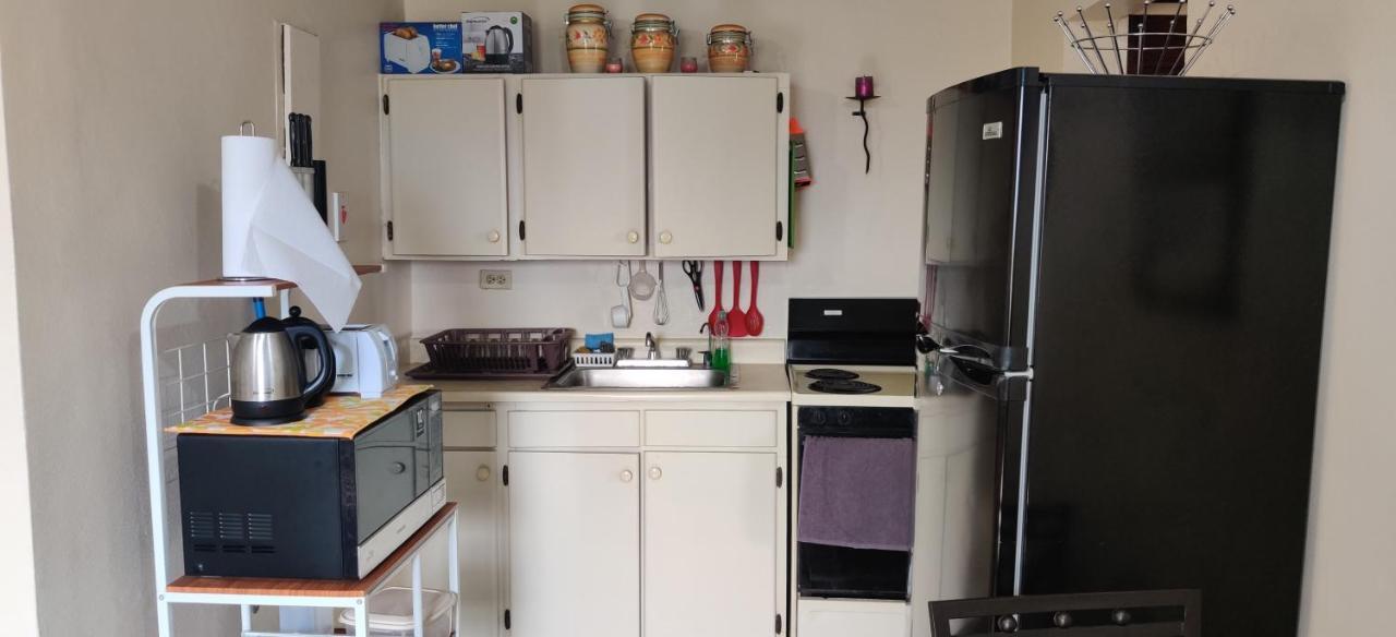 Oaklands Oasis Apartment Kingston Ngoại thất bức ảnh
