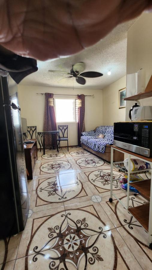Oaklands Oasis Apartment Kingston Ngoại thất bức ảnh