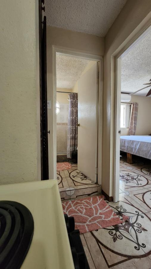 Oaklands Oasis Apartment Kingston Ngoại thất bức ảnh