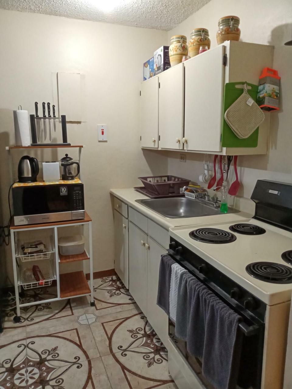 Oaklands Oasis Apartment Kingston Ngoại thất bức ảnh