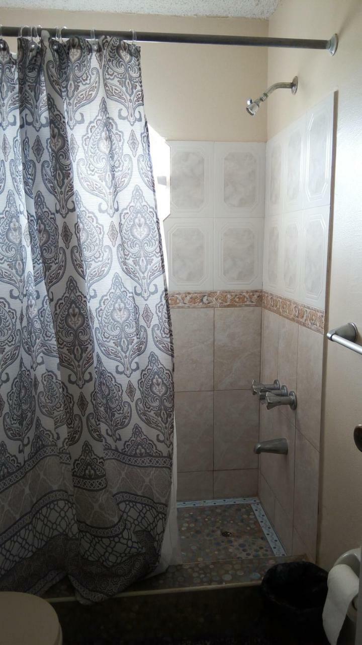 Oaklands Oasis Apartment Kingston Ngoại thất bức ảnh